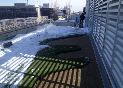 citycenterdc-rooftoop-dogpark_15653949795_o