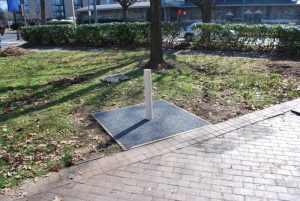 dav-tree-surround-mockup_8858512075_o