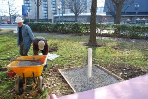 dav-tree-surround-mockup_8859117396_o