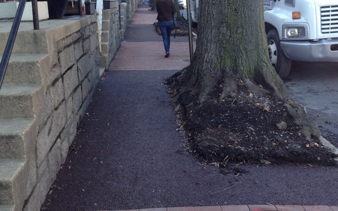 DDOT Sidewalks – March 2014