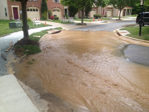 emory-woods-subdivision_15468067610_o