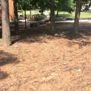 george-mason-university–fairfax-va_20443137044_o