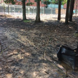 george-mason-university–fairfax-va_20877671190_o