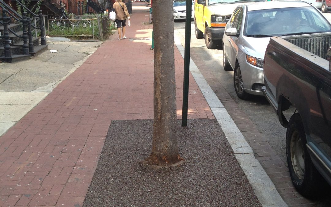 I Street Synagogue Tree Surrounds