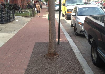 I Street Synagogue Tree Surrounds