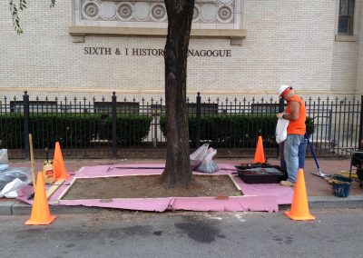 i-street-synagogue-tree-surrounds_8425678130_o