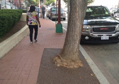 i-street-synagogue-tree-surrounds_8425679174_o