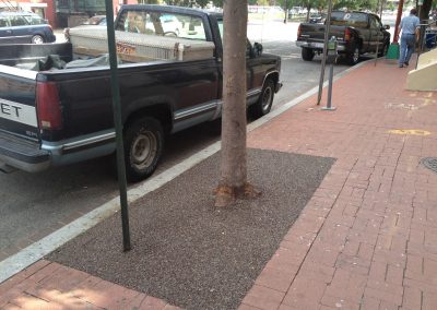 i-street-synagogue-tree-surrounds_8425680672_o