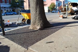 matchbox-tree-surround_8424213757_o