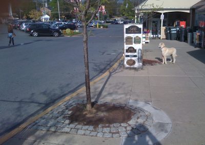 potomac-place-shopping-center-tree-surrounds_8384549163_o