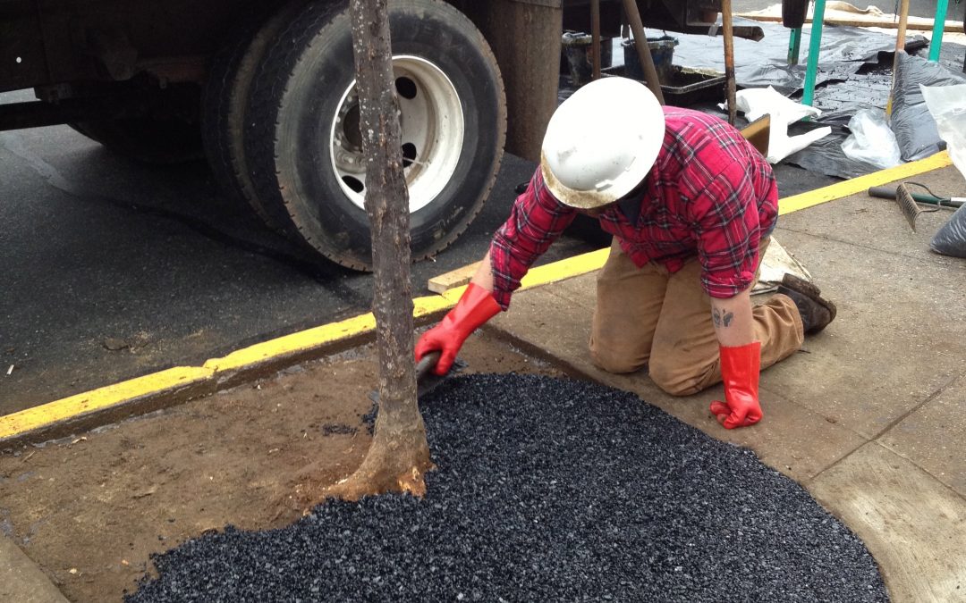 Potomac Place Shopping Center Tree Surrounds – Phase 2