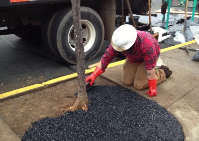 Potomac Place Shopping Center Tree Surrounds – Phase 2