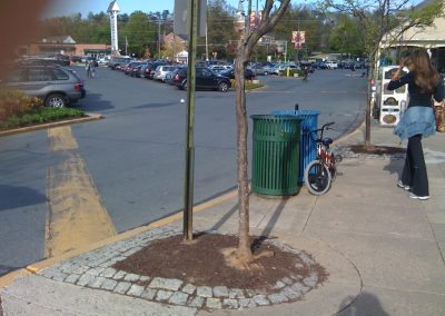 potomac-place-shopping-center-tree-surrounds_8385633186_o