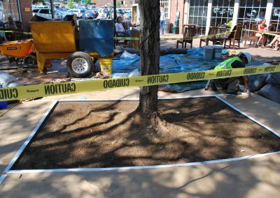 potomac-place-shopping-center-tree-surrounds_8385635090_o