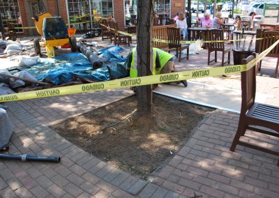 potomac-place-shopping-center-tree-surrounds_8385635412_o