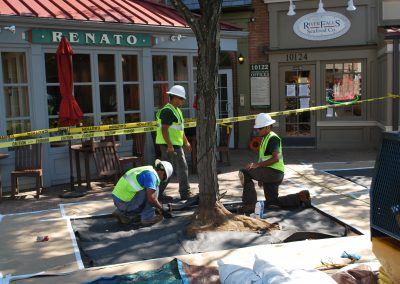 potomac-place-shopping-center-tree-surrounds_8385635710_o