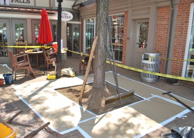 potomac-place-shopping-center-tree-surrounds_8385636268_o