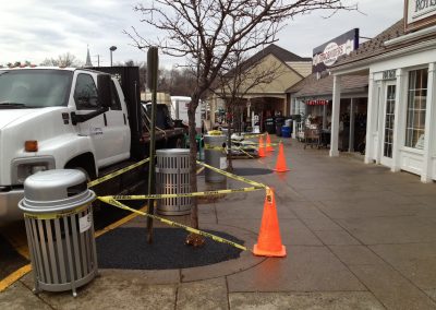 potomac-place-shopping-center-tree-surrounds_8385644994_o