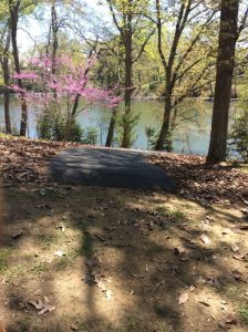 residential-golf-cart-path—annapolis-md_18091897883_o