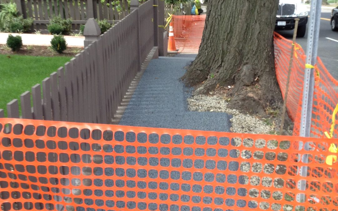 Residential Tree Surround & Sidewalk – Washington, DC