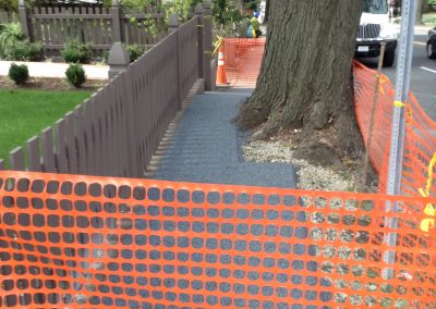 Residential Tree Surround & Sidewalk – Washington, DC