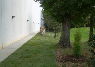 retaining wall tree preservation - rockville sportsplex 6