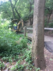 spring-park_18089932844_o