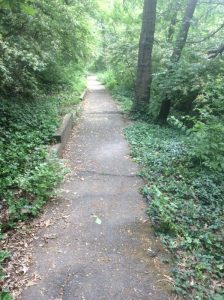 spring-park_18089935614_o