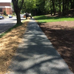 st-john-paul-ii-national-shrine–washington-dc_27083703363_o