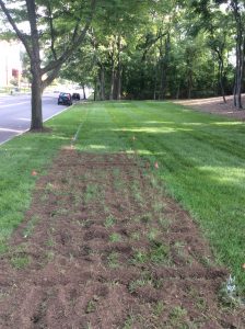 st-john-paul-ii-national-shrine–washington-dc_27415683760_o