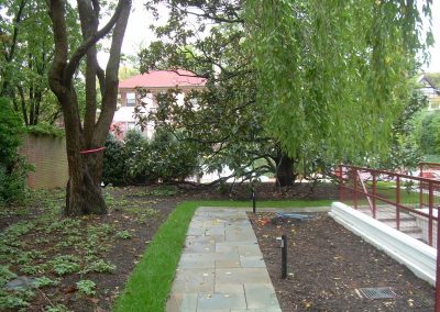 tree preservation project - high end residential in DC 10