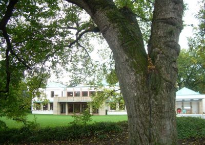 tree preservation project - high end residential in DC 11