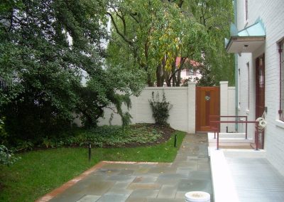 tree preservation project wall over roots - high end residential in DC 2