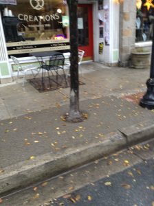 tree-surrounds—frederick-md_26293763905_o