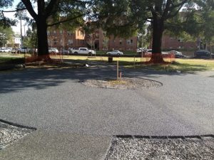 triangle-park-trails_8424668065_o