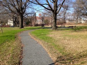 triangle-park-trails_8424670297_o