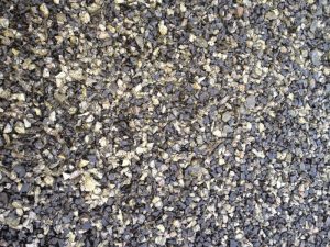 triangle-park-trails_8425748882_o