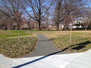 triangle-park-trails_8425760158_o