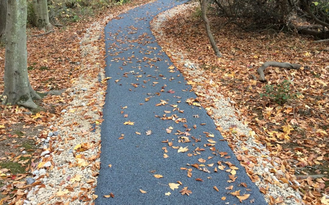 Wetland Trail – Fort Belvoir, VA