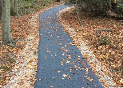 Wetland Trail – Fort Belvoir, VA