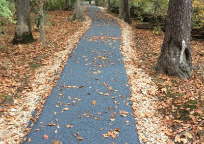 wetland-trail---fort-belvoir-va_22960143781_o